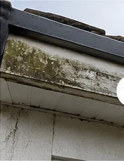 Illustrative fascia and soffit before cleaning